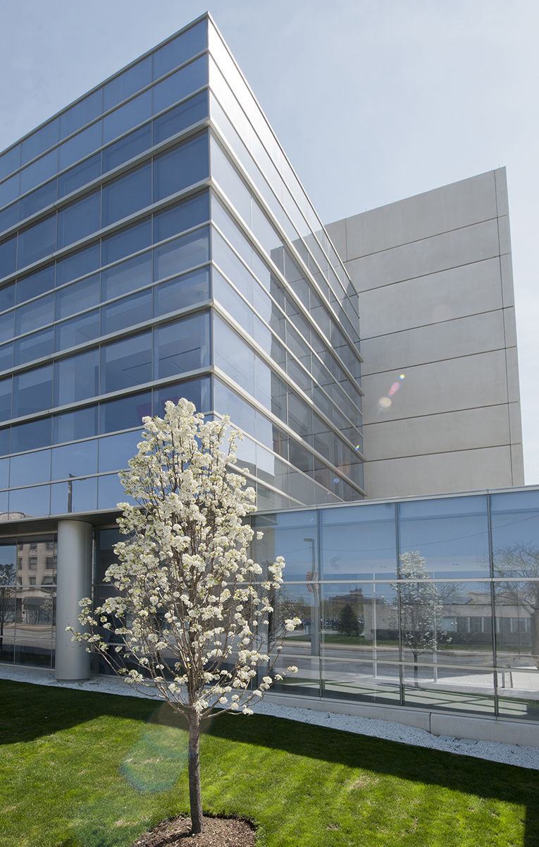 Accreditations Licenses Cleveland Clinic Laboratories