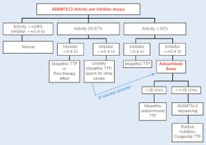 ADAMTS13 - Figure 1_Diagnostic Algorithm of ADAMTS13 Evaluation for Thrombotic Thrombocytopenic Purpura