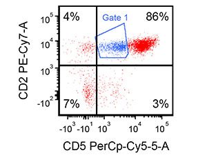 Flow cytometry dot plot showing an aberrant CD5 dim lymphocyte population
